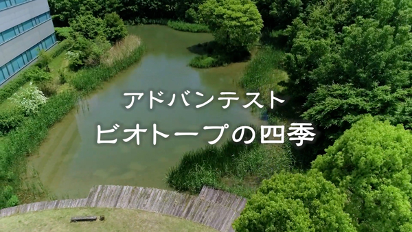 動画を見る