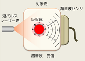 吸収体にレーザ光を照射し、光を吸収した吸収体が熱膨張して超音波を発生させるイメージ画像