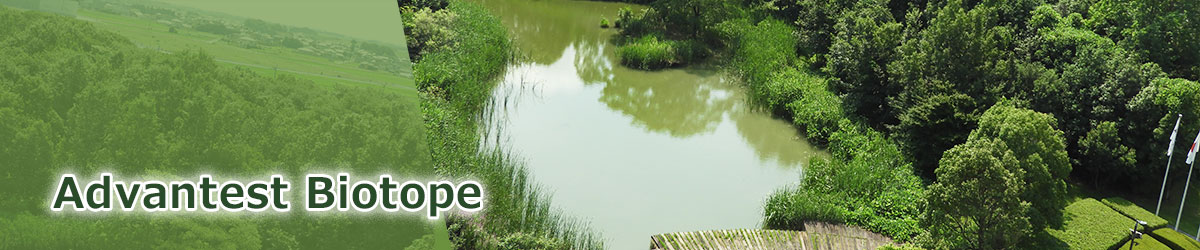 Advantest Biotope